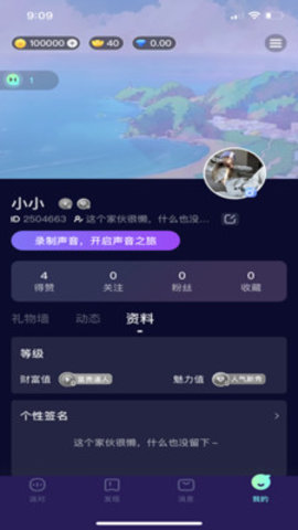 玩皮语音截图(1)
