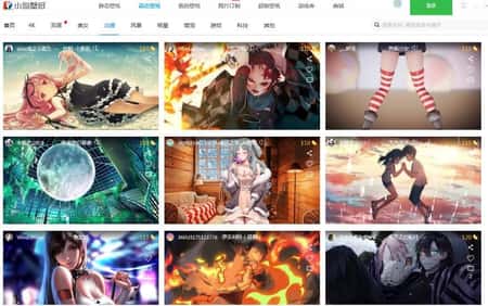 小鸟壁纸截图(3)