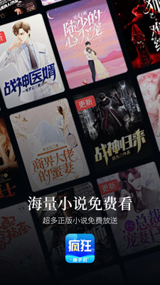 疯狂小说截图(1)