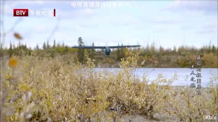 亮仔影视截图(1)