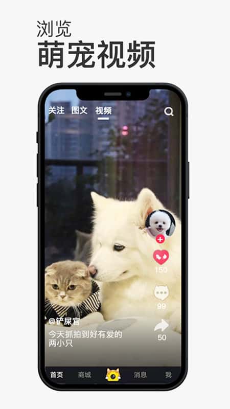 小宠书截图(1)