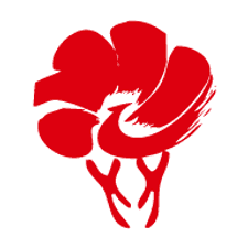 放新办app下载安装