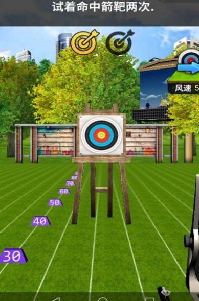 顶级射击王者截图(3)