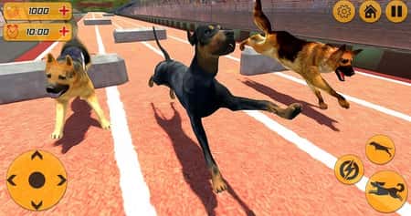 警犬跨栏冲刺截图(3)