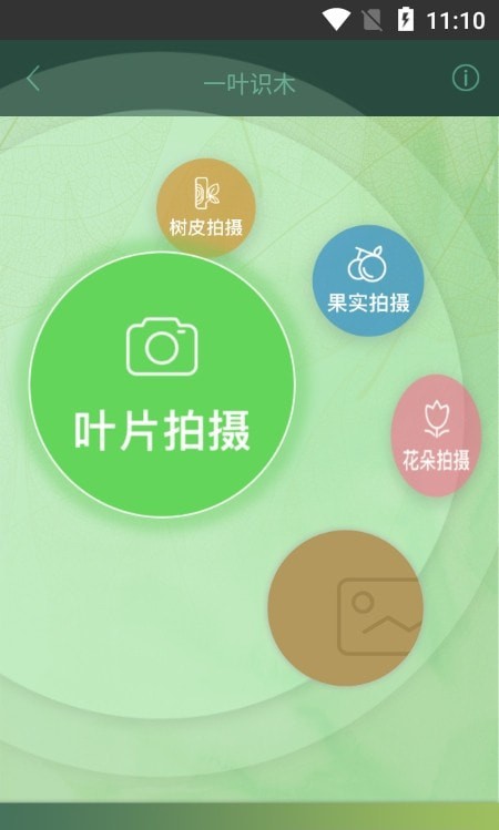 一叶识木截图(2)