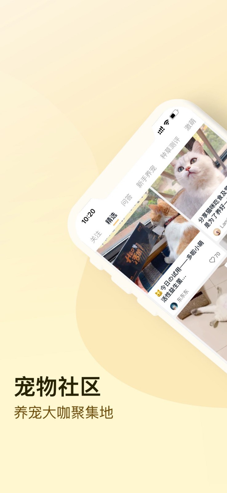 小萌猫短视频截图(3)
