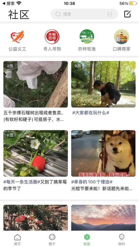 云上凉山截图(2)