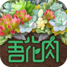 吾花肉app下载