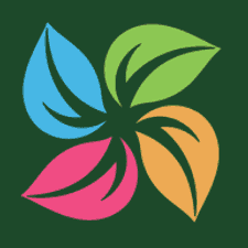 田字草app下载