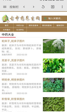 古中药养生网截图(2)
