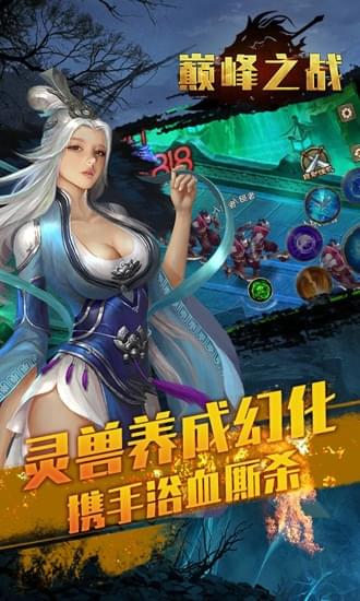 巅峰之战截图(1)