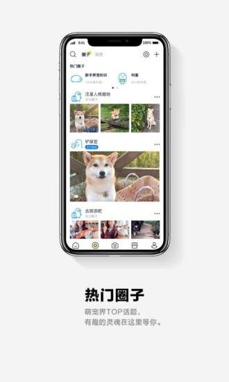 它福截图(2)