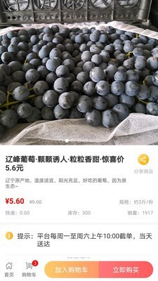 量子美食截图(3)