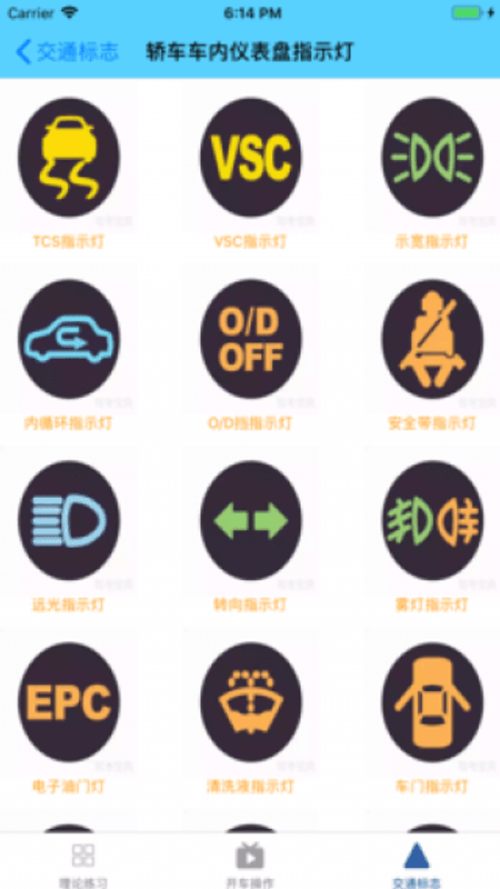 极速学开车截图(2)