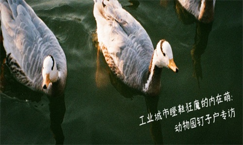 豆瓣音乐截图(2)