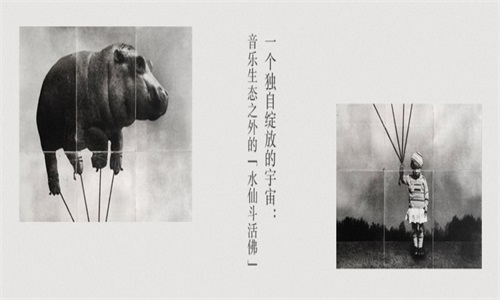 豆瓣音乐截图(3)